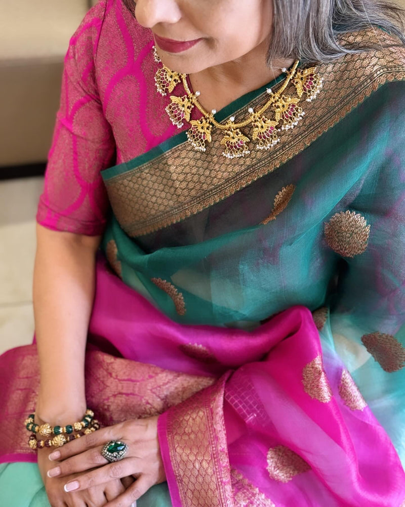 EE-X00323 Shaded Organza sari