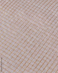 BL-F21590 Cream Chanderi