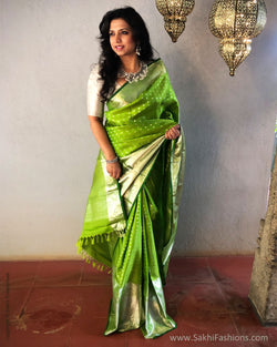 EE-S24748 AvoGreen TZ