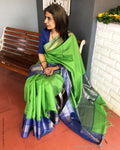 EE-S33951 Green RawSilk