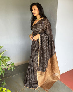 EE-S38204 Tussar Munga Saree