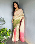 EE-S42777 Shaded Organza sari