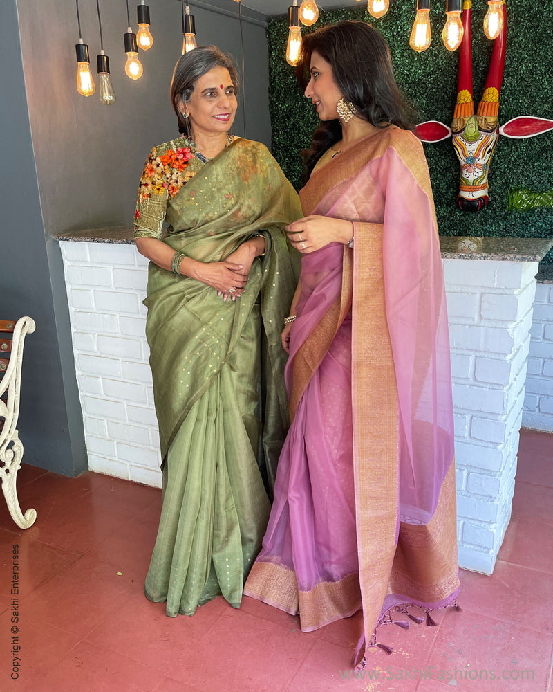 EE-S40082 Green sequin Sari