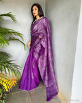 EE-V06796 Purple Silver Organza sari