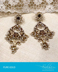 AGDS-20863 Gold Silver Earring