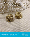 AJDS-20812 -Mix Metal Earring