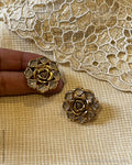 ASDS-201212 Silver Earrings