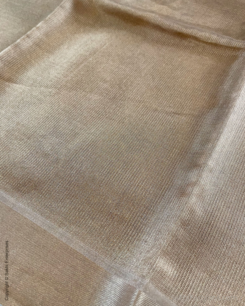 EE-S47287G Gold Tissue Saree