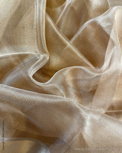 EE-S47287G Gold Tissue Saree
