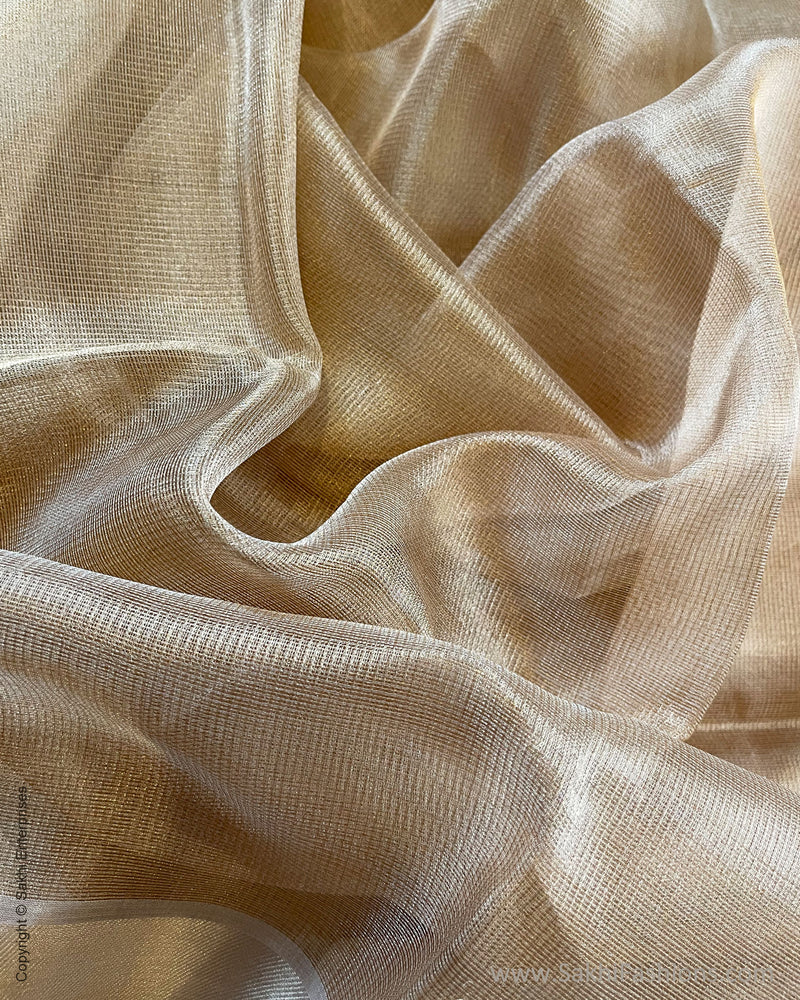 EE-S47287G Gold Tissue Saree