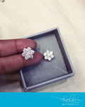 ASDS-14566 - Silver &  Pure Silver Earring