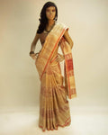 DPO-16960 - Beige & Multi Pure Tussar Silk Saree