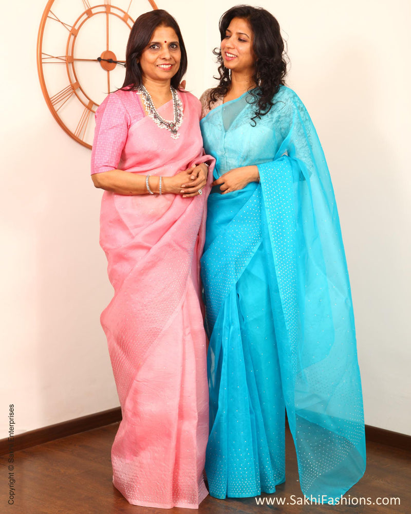 EEP-L6G - Blue & Silver Pure Organza Silk Saree