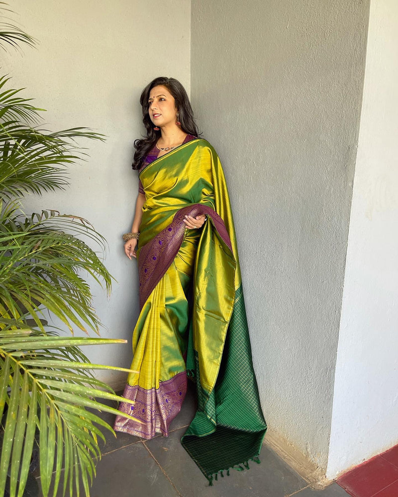 EE-V18522 Concept Kanchi Sari