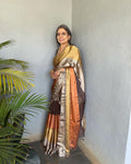 EE-V18930 Shaded Tissue Chanderi