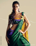 SR-0017 - Violet, Mustard and Green Crepe Silk Saree