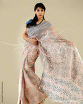 SR-0034 Organza Peach Sari