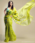 SR-0100 Green & blue Organza silk saree